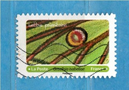 Francia ° - 2020 - Effets Papillons Graellsia Isabellae.  Oblitéré. - Used Stamps