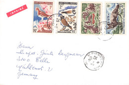 ST. PIERRE & MIQUELON - IMPRIMÉ 1965 > CELLE/DE // QE225 - Storia Postale