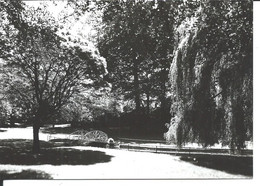 École Missionnaire Saint-Gérard - Le Parc - Ecoles