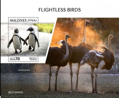 Maldives 2019, Animals, Birds, Penguin, Ostriches, BF - Ostriches