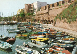 ISOLA DI VENTOTENE - IL PORTO ROMANO - F.G - Latina