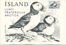 ISLANDA  - MAXIMUM CARD  1981 - FRATERCULA ARTICA - WIPA 1981 - SPECIAL CANCEL - Tarjetas – Máxima