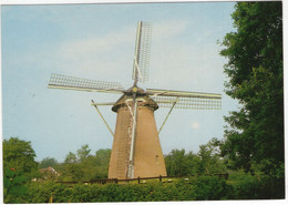 Schoorl - Molen - (Noord-Holland, Nederland) - (Moulin à Vent, Mühle, Windmill, Windmolen) - Nr. SCO 2 - Schoorl