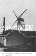 Molen Van Daem - Denderleeuw - Denderleeuw