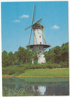 Tholen - Molen 'De Hoop' - Korenmolen - (Zeeland, Nederland) - (Moulin à Vent, Mühle, Windmill, Windmolen) - Tholen