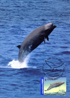 &#9989; " BALEINE " Sur Carte Maximum Et PAP Neuf D'Australie De 2006. Parfait état. CM - Whales
