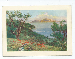 Italy Art  Postcard  C Larger Format Apri Astro Edition Dalla Penisola Sorrentino - Carpi