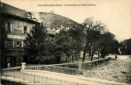 Valleraugue * La Promenade Des Marronniers * Café Du Siècle - Valleraugue