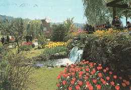 TORINO - FIORI AL PARCO DEL VALENTINO  - F.G - Parcs & Jardins