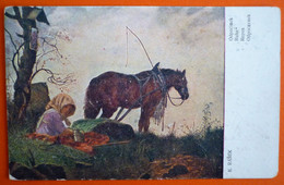 HORSE , CAVALLO , PFERD - K.RASEK - REPOS - Horses