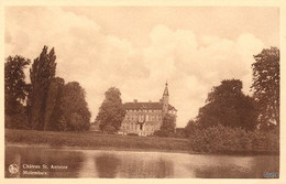 Molembaix / Celles - Château St. Antoine - Kasteel * - Celles