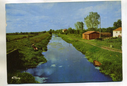 (  CHAILLE LES MARAIS )( 85 VENDEE ) LE CANAL DES CINQ ABBES - Chaille Les Marais