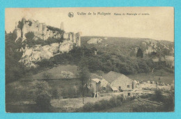 * Vallée De La Molignée (Onhaye - Falaen - Namur - Wallonie) * (Nels, Edition Hotellerie De Maredsous) Ruines Montaigle - Onhaye