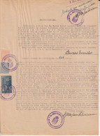 REVENUE STAMPS, KING MICHAEL, JUDICIAL STAMPS ON AFFIDAVIT, 1946, ROMANIA - Fiscale Zegels