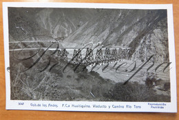 Gob. De Los Andes. F.C.a  Huaitiquina Viaductor Y Camino Rio Toro.  Jujuy Provincia  Real Photo Card Bridge. N°9047 - Argentine