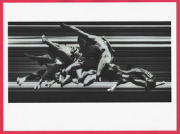 Grande Photo 34,3 X 26 Cm - Selection Américaine Pour Les JO Sur 110 M Haies 1960 - Pellicule Sens Inverse - GEORGE SILK - Otros & Sin Clasificación