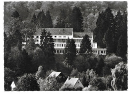 6903  NECKARGEMÜND - KÜMMELBACHERHOF  1964 - Neckargemünd