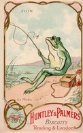 Frosch Personifiziert Werbung Huntly & Palmers I-II (keine Ak-Einteilung) Publicite Grenouille - Zonder Classificatie