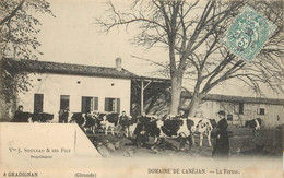 GIRONDE - GRADIGNAN - DOMAINE DE CANEJAN - LA FERME - Gradignan