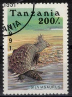 TANZANIE - Silviasaurus - Vor- U. Frühgeschichte