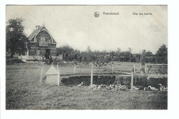 Arendonk  Arendonck  Villa Des Sapins 1920 - Arendonk