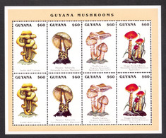 Delcampe - Guyana, 1996, Mushrooms, MNH Sheet, Michel 5534-5537 - Guyane (1966-...)