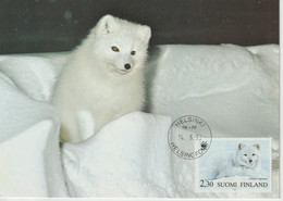 Finlande Carte Maximum 1993 Renard Arctique 1166 - Maximumkarten (MC)