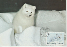 Finlande Carte Maximum 1993 Renard Arctique 1166 - Cartoline Maximum