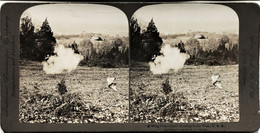 13263 -  U.S.A  1902  - A WING SHOT - QUAIL HUNTING IN THE WEST - CHASSEUR +  CAILLE    Photo Stéreo.   U.S.A  1902 - Stereoscopic