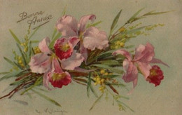Belle Illustrée Signée C. KLEIN : Orchidées Et Mimosas - Klein, Catharina