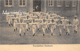 67 TURNSEKTION DAMBACH Carte Rare, Vierge- Parfait état 2 Scans - Dambach-la-ville