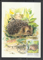 Hungary, Maximum Card, Protected Animals, Hedgehog, 1986. - Maximumkarten (MC)