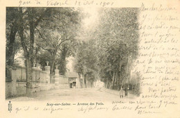 Scey Sur Saône * 1901 * Avenue Des Patis - Andere & Zonder Classificatie