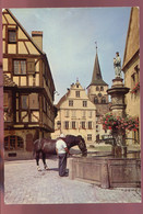 Delcampe - CPM 68 TURCKHEIM Fontaine Sainte Anne - Turckheim