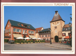 Delcampe - CPM Neuve 68 TURCKHEIM La Porte De France Et Son Nid De Cigognes - Turckheim