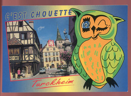 Delcampe - CPM Neuve 68 TURCKHEIM C'est Chouette - Turckheim