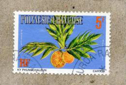 POLYNESIE Française :  Fruit : "URU"  - Fruit De L'arbre à Pain  (Artocarpus Altilis) - Famille Des Moracées - Officials