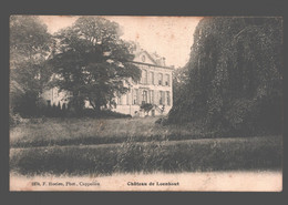 Loenhout - Château De Loenhout - Wuustwezel