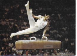 Japonais Au Cheval D'arçon - Carte émise Par La Fédération Sportive Et Culturelle De France - Carte Double - Gymnastics