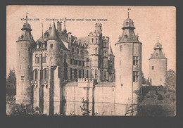 Vorselaar / Vorsselaer - Château Du Comte René Van De Werve - Vorselaar