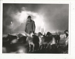 Photographie , 240 X 185 Mm, Sports ,CHASSE A COURRE, Nocturne ,chiens, Frais Fr 2.45 E - Sporten