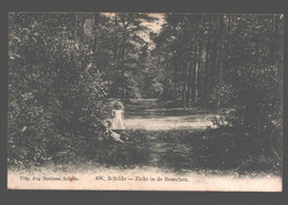 Schilde - Zicht In De Bosschen - 1908 - Schilde