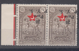 Turkey Back Of Book Charity Stamps 1938, Mint Hinged Pair, Error - Overprint Inverted - Charity Stamps