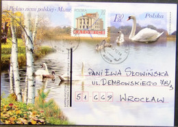Poland - Uprated Stamped Stationery Card 2010 Swan - Swans