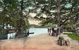 SHEFFIELD BOAT LAKE ENDCLIFFE WOODS OLD COLOUR POSTCARD YORKSHIRE - Sheffield