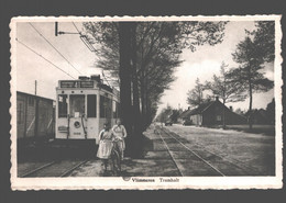 Vlimmeren - Tramhalt - Tram / Tranvia - Geanimeerd - Beerse