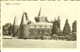 CP De SOHIER ( Wellin ) " Le Château " - Wellin