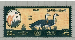 Egypt 1967, Bird, Birds, Red-breasted Goose, 1v, MNH** - Oche