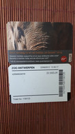 The Zoo 1 Ticket Antwerp Belgium Thin Carton Used Only To Collect Rare - Origine Sconosciuta