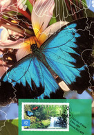 &#129419;  " PAPILLON : ULYSSES BUTTERFLY " Sur Carte Maximum Et PAP Neuf D'Australie De 2004 Parfait état CM - Butterflies